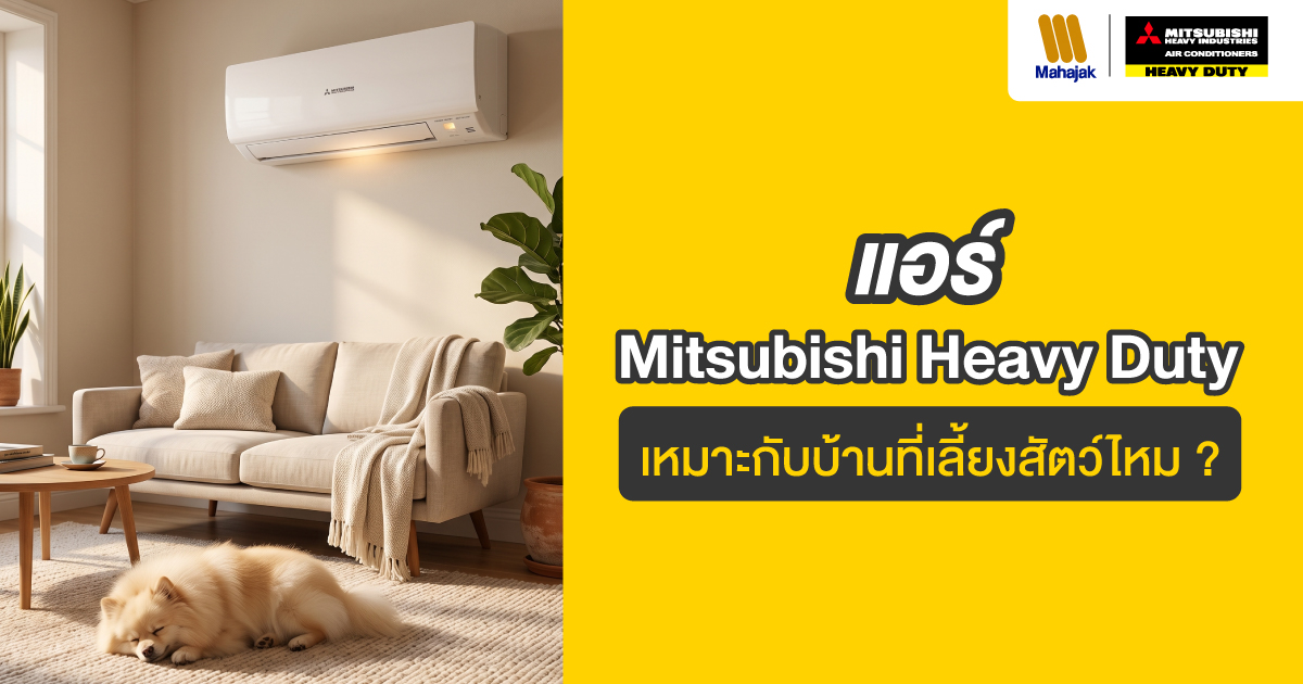 แอร์ Mitsubishi Heavy Duty เหมาะกับบ้านที่เลี้ยงสัตว์ไหม ?